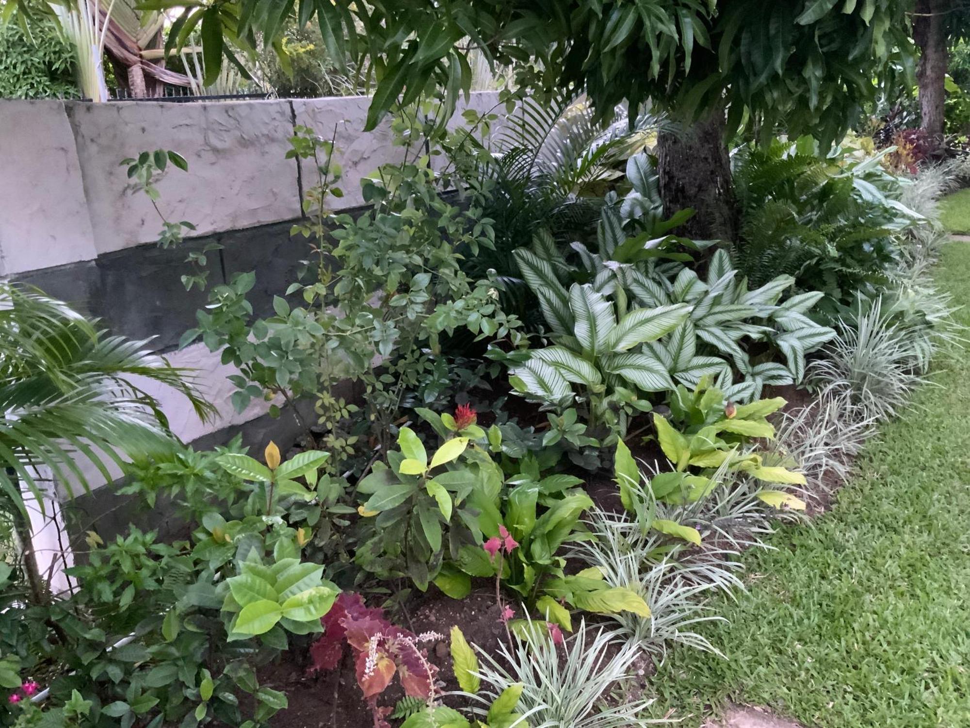Marvey'S Place Castries Exterior photo